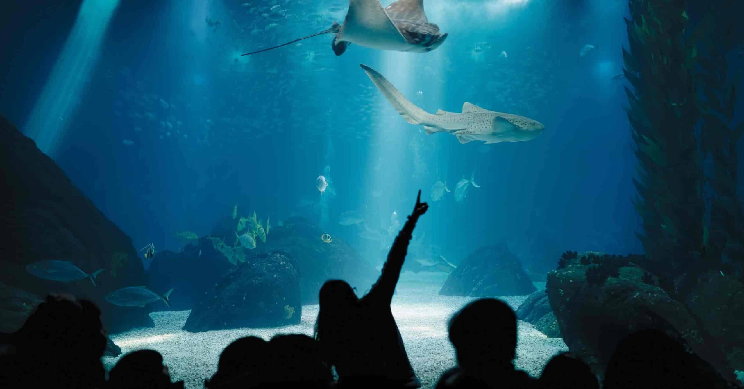 Interactive Learning Resources & Virtual Field Trips For Our EdTech Client