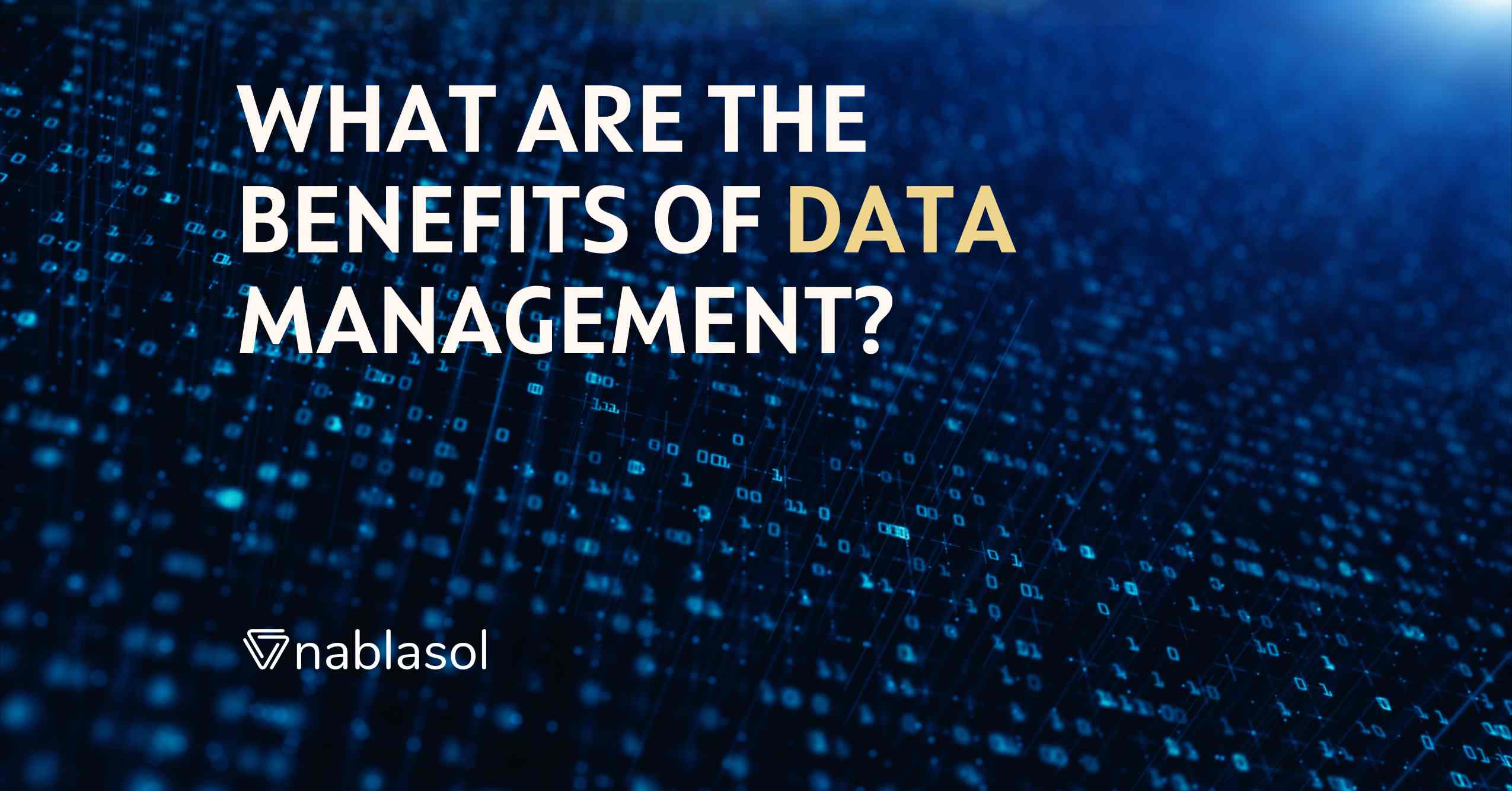 What Are The Benefits Of Data Management?
