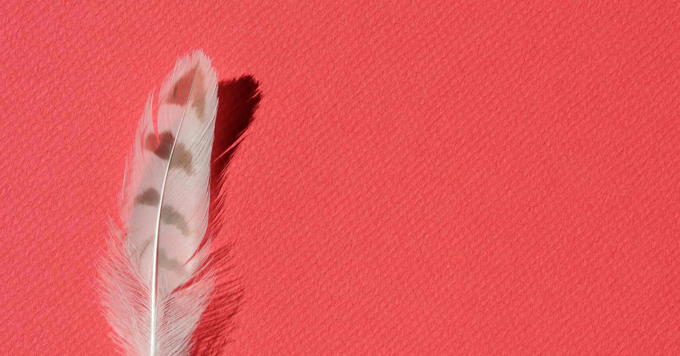 What Is Lite CRM? and How Can It Prove A Game Changer For Your Business?