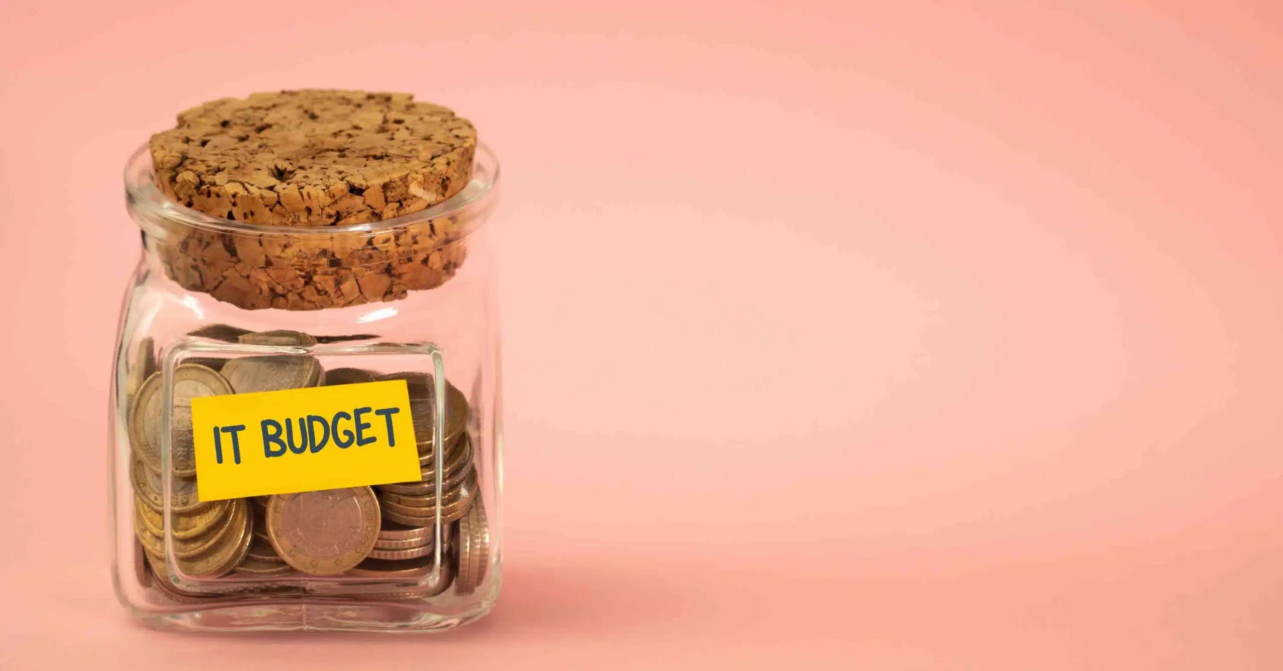 IT Budget : 12 Things You Can’t Ignore For Best Utilization